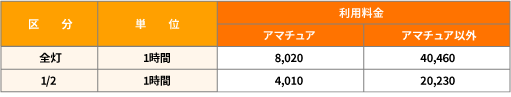 補助野球場 照明設備